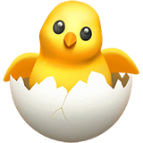 🐣